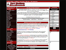 Tablet Screenshot of bloodhoundsports.com